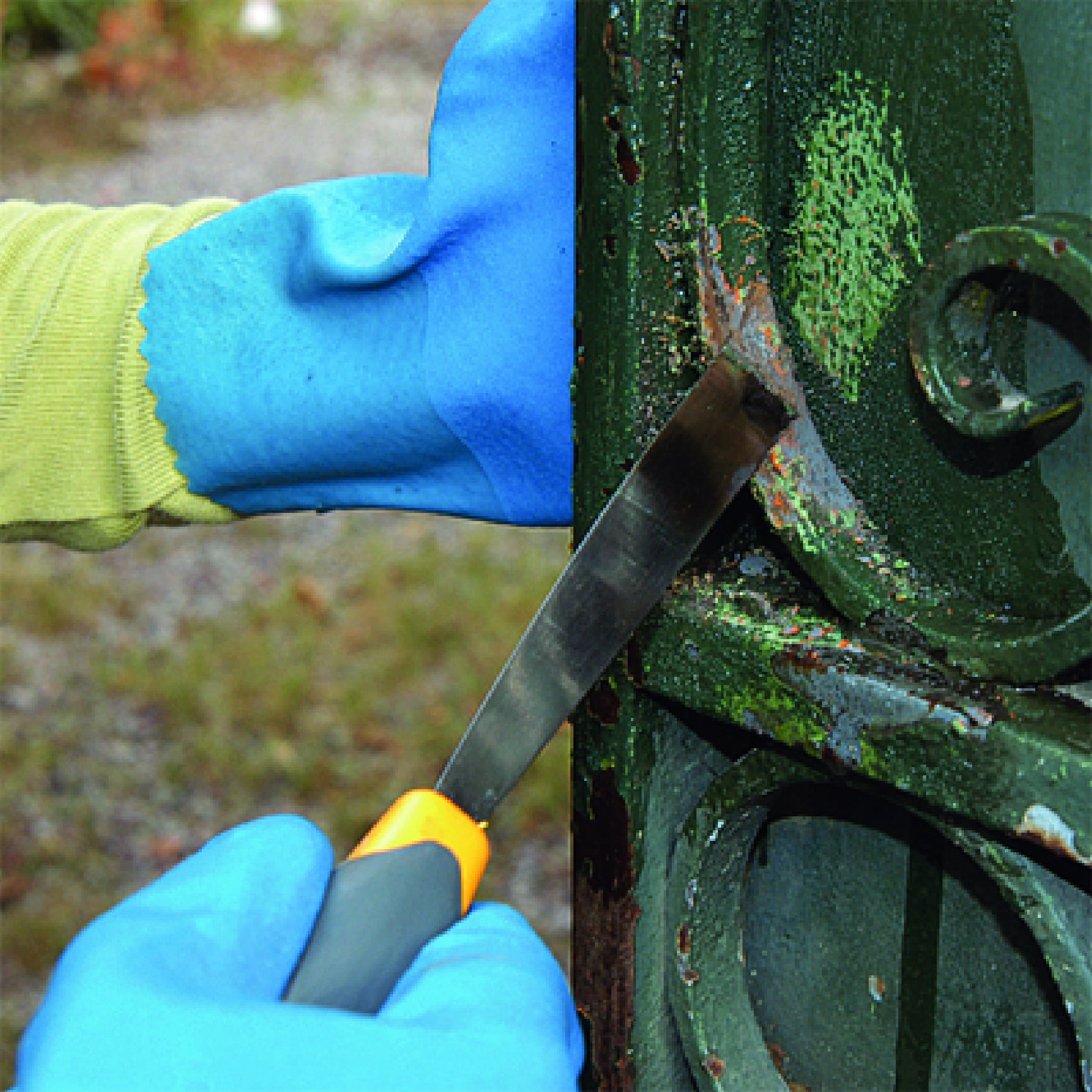 Scalp -Scalpex NW 750mL