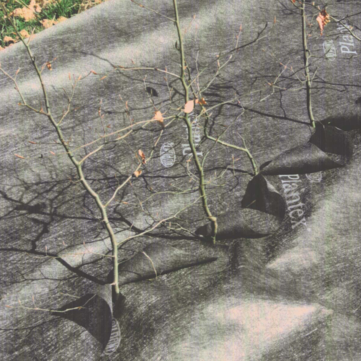 Plantex® Premium -68 gr/m²