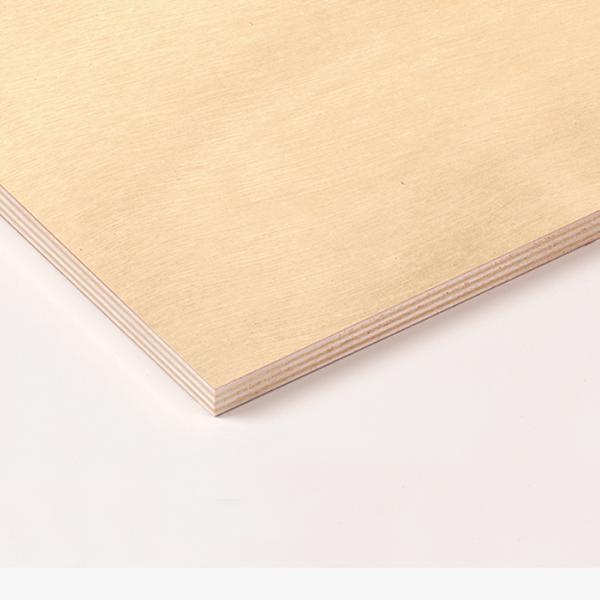 SINBPLA Foxy Ply panneau de Contreplaqué ou multiplex en Peuplier 100%