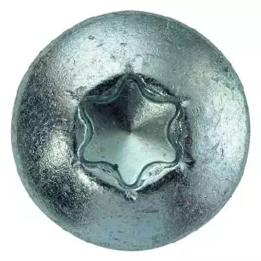 SWG -Vis Panneau Tête Ronde Inox A2 Torx Diam. 4